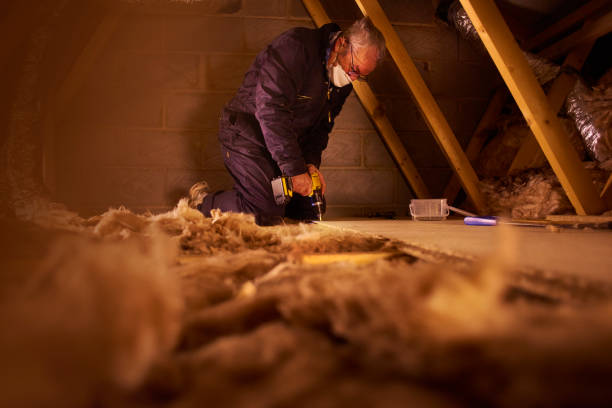 Types of Insulation We Offer in Stapleton, AL